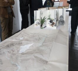 Strichstärke
Projekte zur Zeichnung