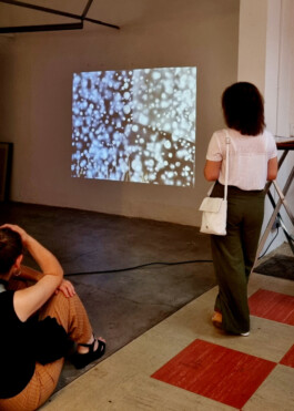 Strichstärke
Projekte zur Zeichnung