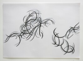 Strichstärke
Projekte zur Zeichnung