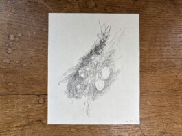 Strichstärke
Projekte zur Zeichnung
